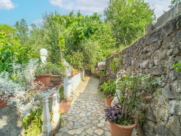 garden with florid nature