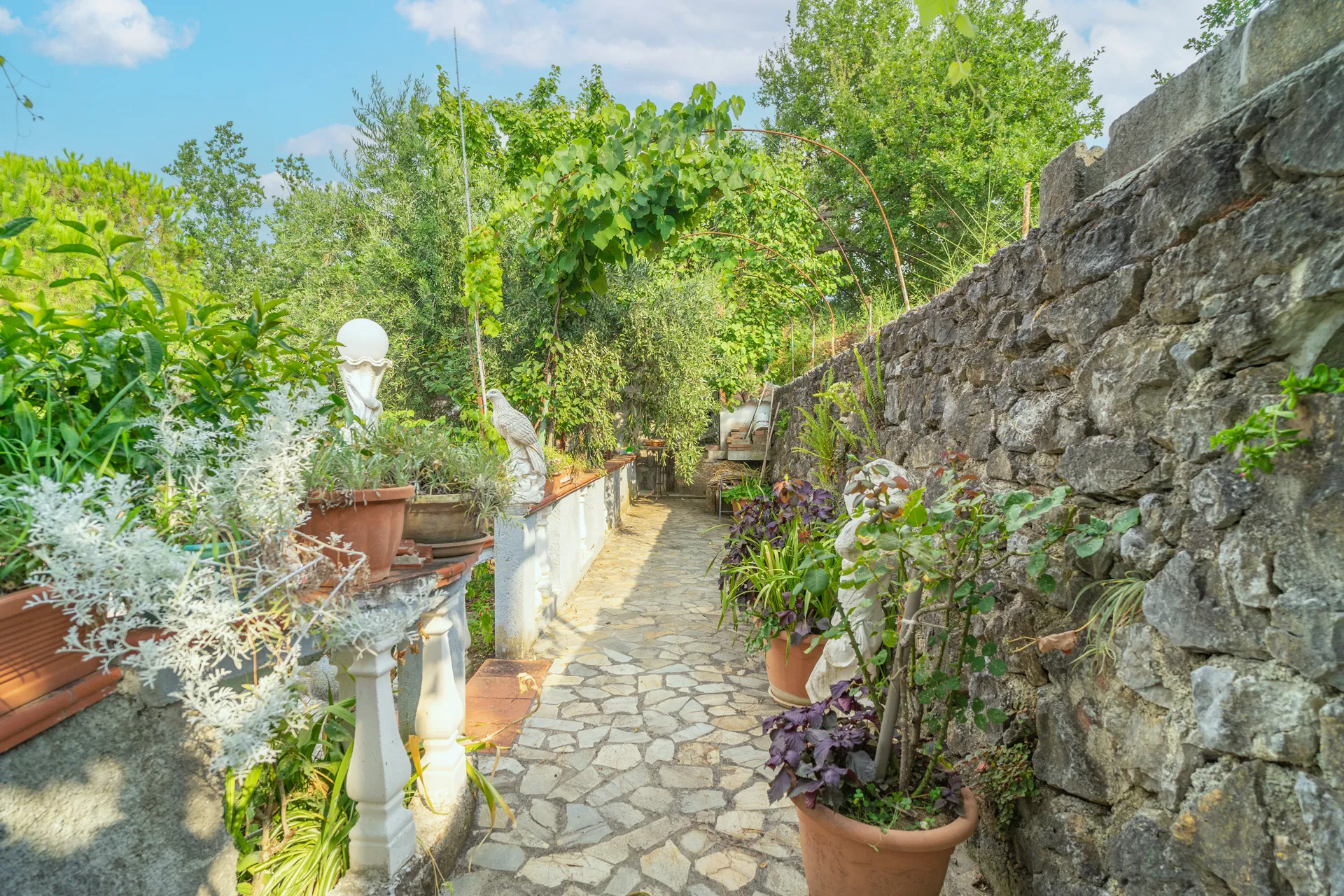 garden with florid nature