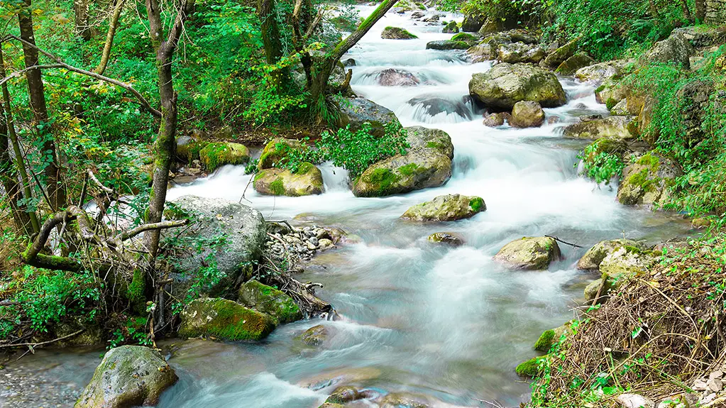 Park-Pollino-Calabria